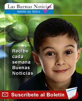 Suscribete al Boletín